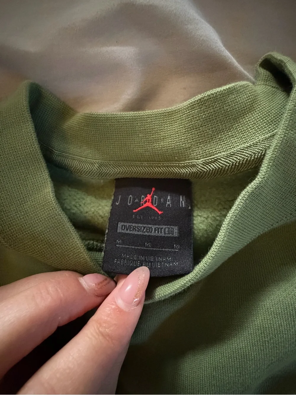 Jordan Crewneck Sweatshirt in Light Green